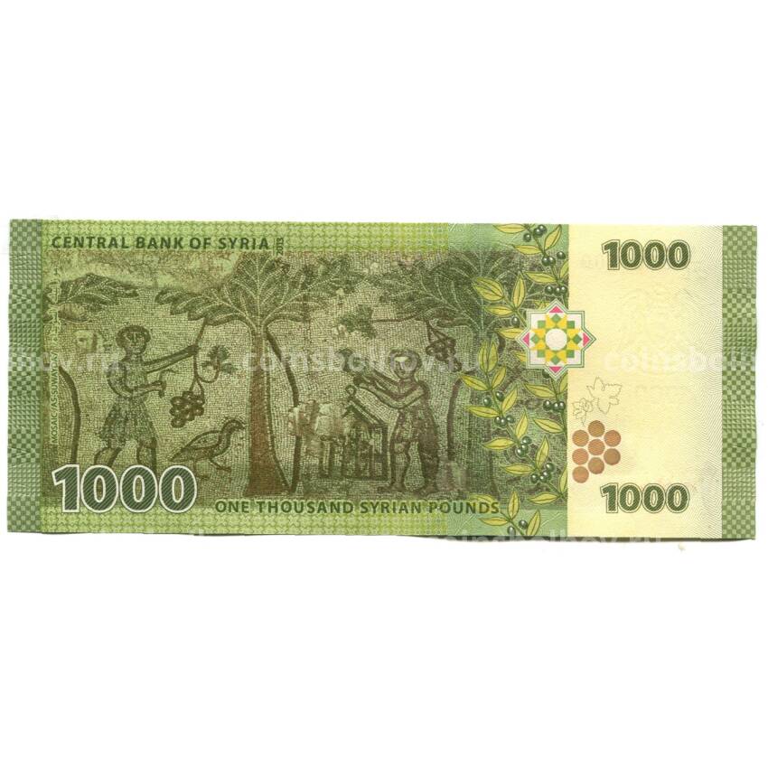 Банкнота 1000  фунтов 2013 года Сирия