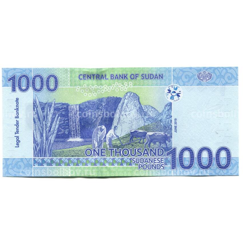 Банкнота 1000 динар 2019 года Судан