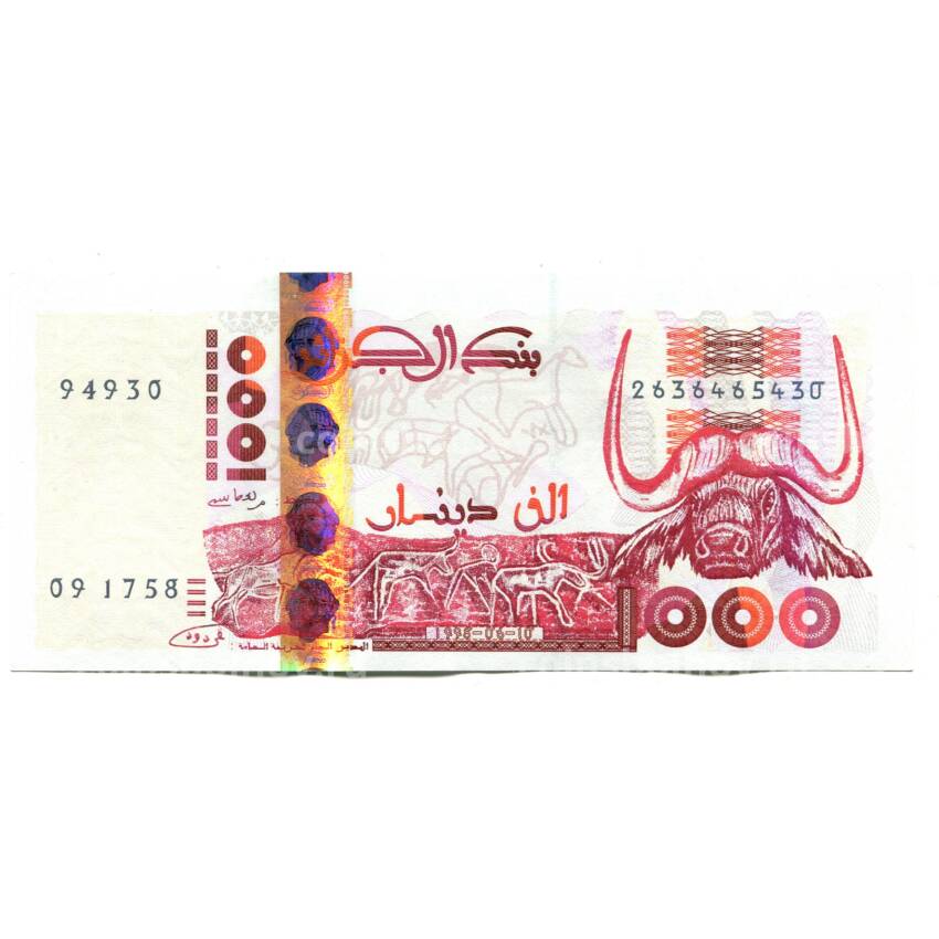 Банкнота 1000 динар 1998 года Алжир