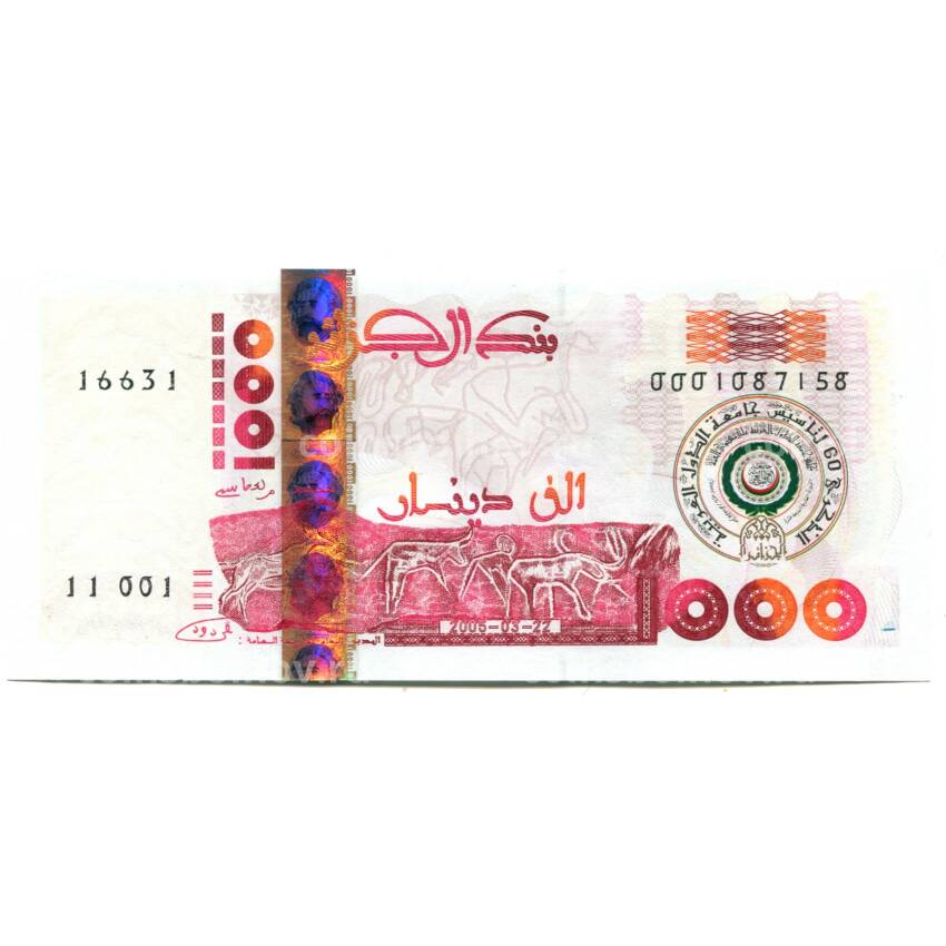 Банкнота 1000 динар 2005 года Алжир