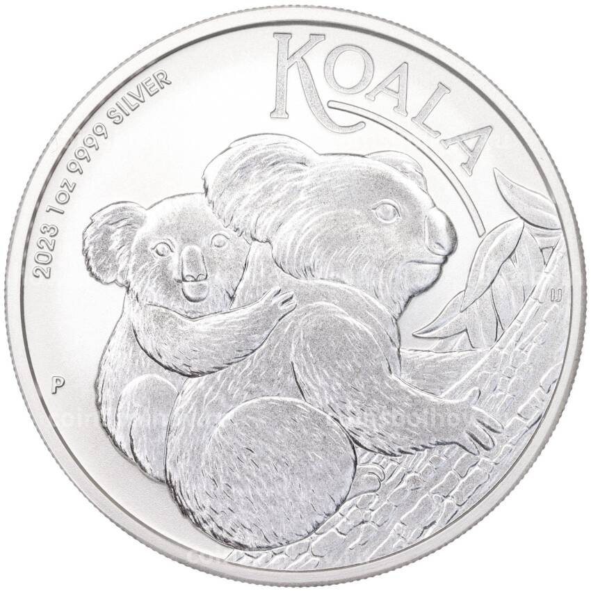 Монета 1 доллар 2023 года Австралия —  Австралийская Коала