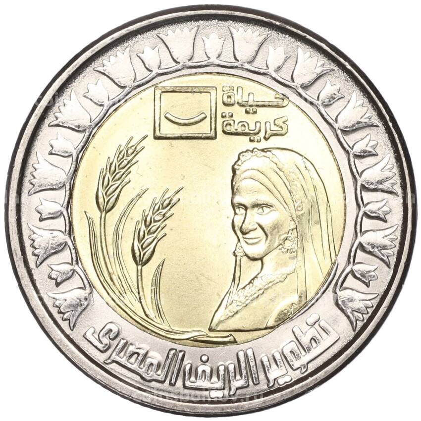 Монета 1 фунт 2021 года Египет —  Развитие Египетской сельской местности