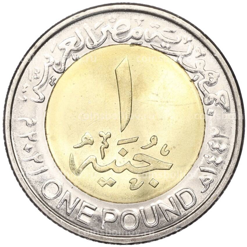Монета 1 фунт 2021 года Египет —  Развитие Египетской сельской местности (вид 2)