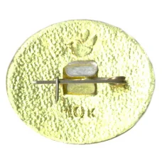 Значок Дом-Музей П.И. Чайковского в Клину (вид 2)