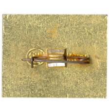 Значок город Печоры  — флюгер (вид 2)