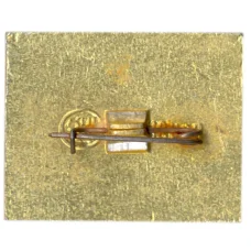 Значок город Печоры  — флюгер (вид 2)