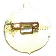 Значок Владимир (вид 2)