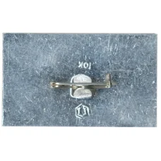 Значок Кусково (вид 2)