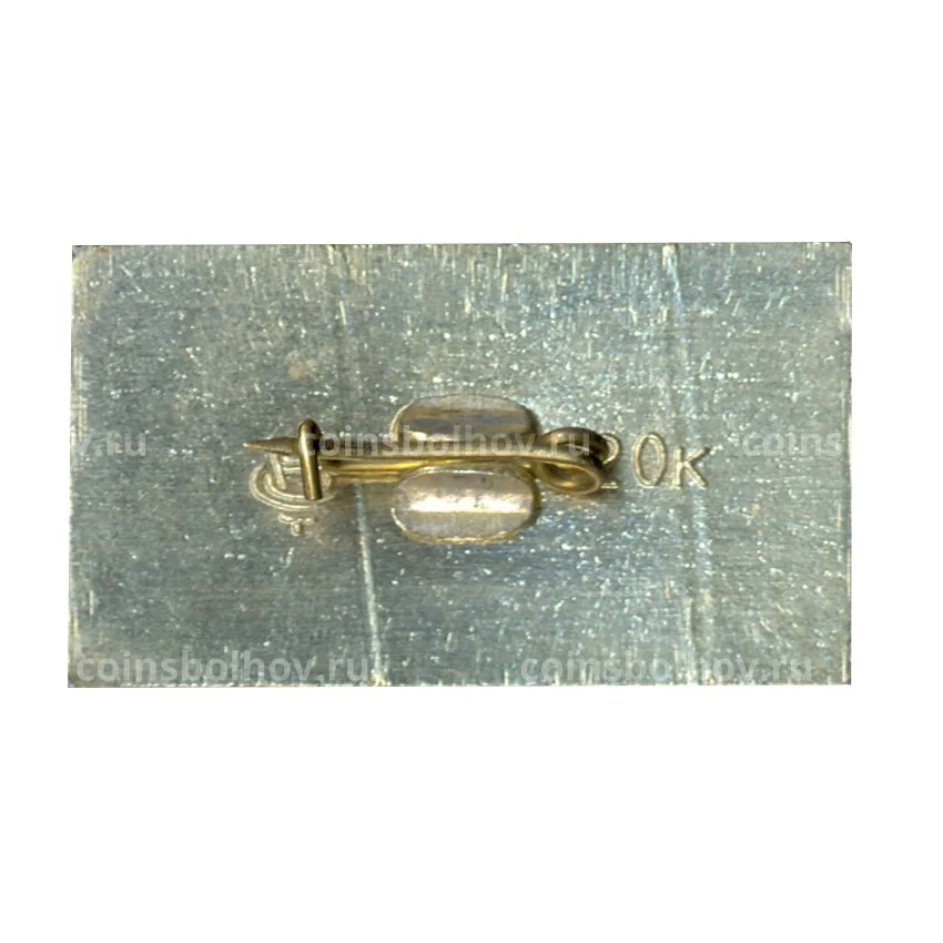 Значок Саратов (вид 2)