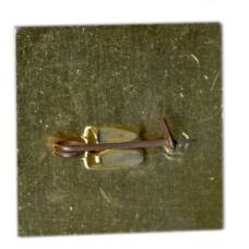 Значок Фестиваль искусств СССР (вид 2)