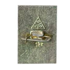 Значок Юрьев — Польский (вид 2)