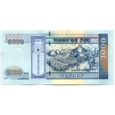Банкнота 1000 тугриков 2020 года Монголия (вид 2)