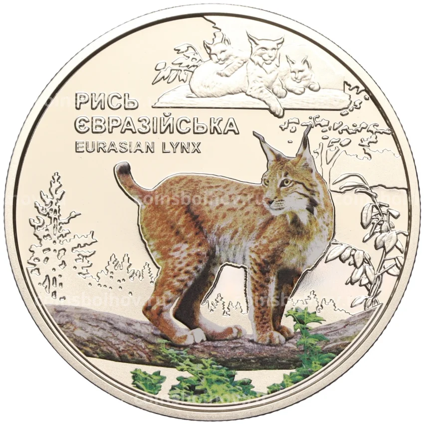 Монета 5 гривен 2023 года Украина — «Чернобыльский радиационно-экологический биосферный заповедник — Рысь евразийская»