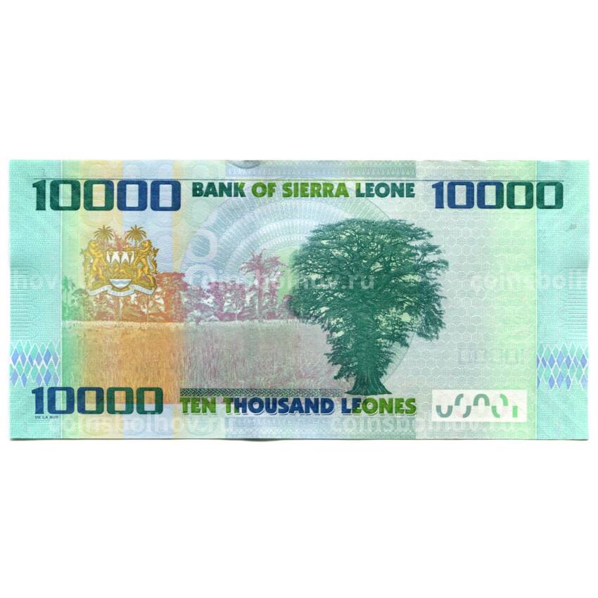 Банкнота 10000 леоне 2021 года Сьерра-Леоне (вид 2)