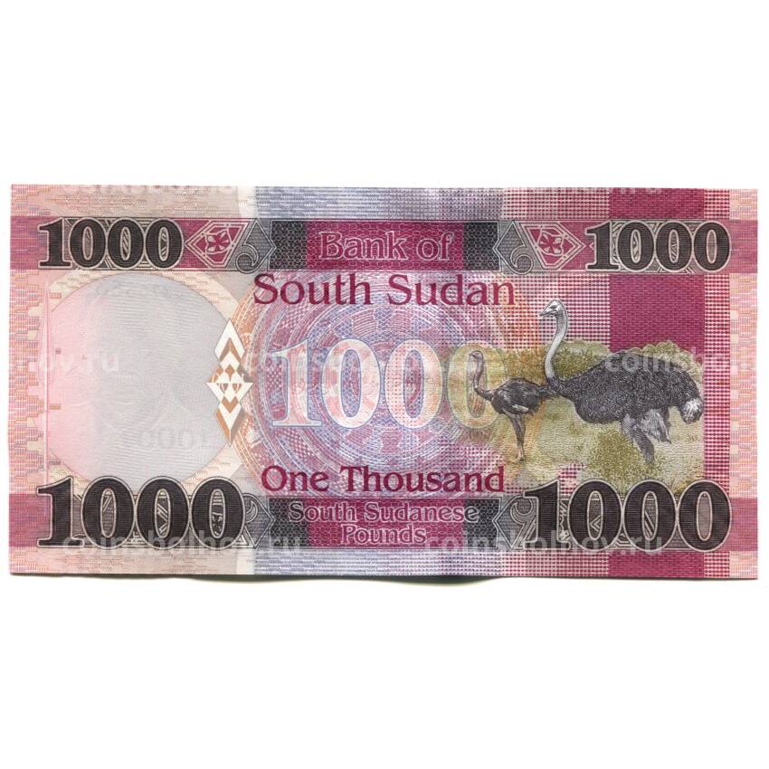 Банкнота 1000 фунтов 2021 года Южный Судан (вид 2)