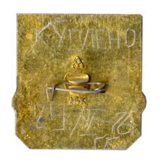 Значок Владимир (вид 2)