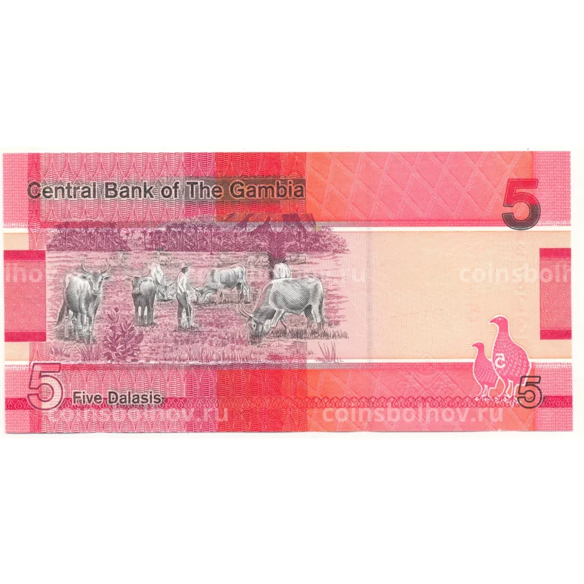 Банкнота 5 даласи 2019 года Гамбия (вид 2)
