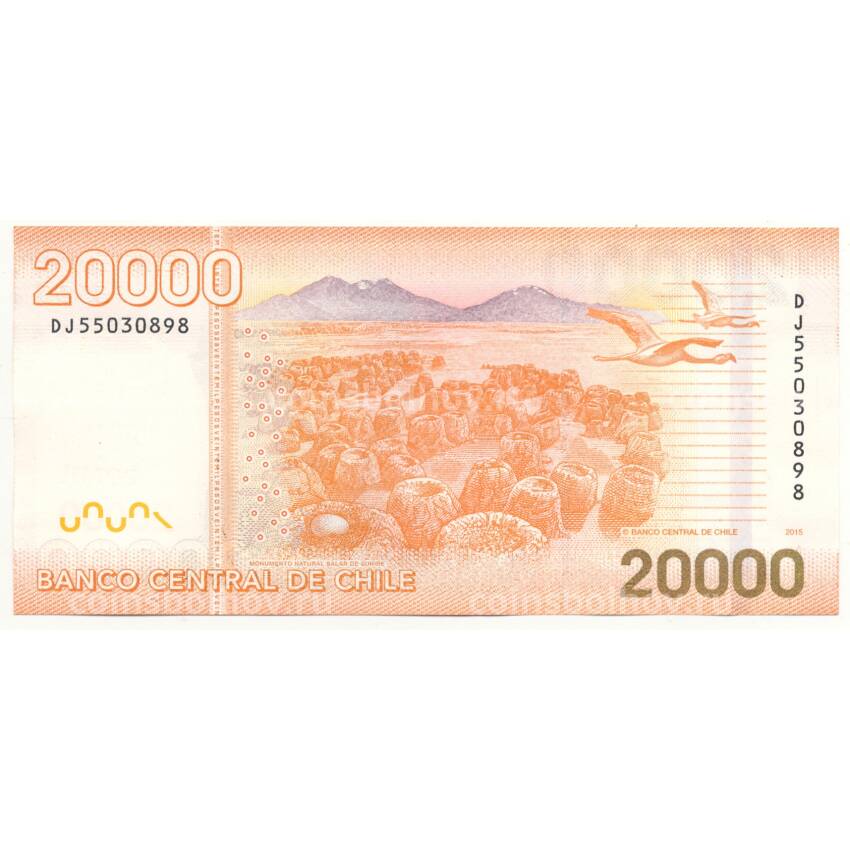 Банкнота 20000 песо 2015 года Чили (вид 2)