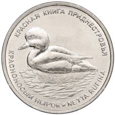 Монета 1 рубль 2023 года Приднестровье —  Красная книга — Красноносый нырок (аверс)