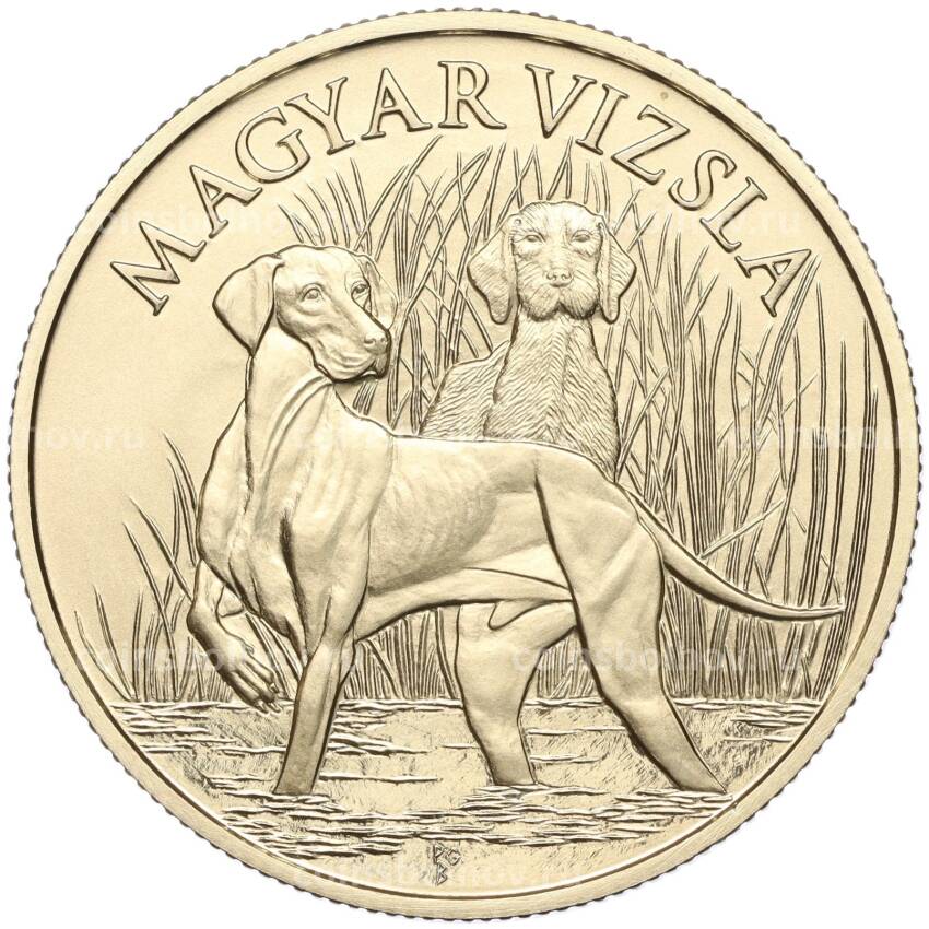 Монета 2000 форинтов 2019 года Венгрия — Венгерские овчарки и породы охотничьих собак — Венгерская выжла