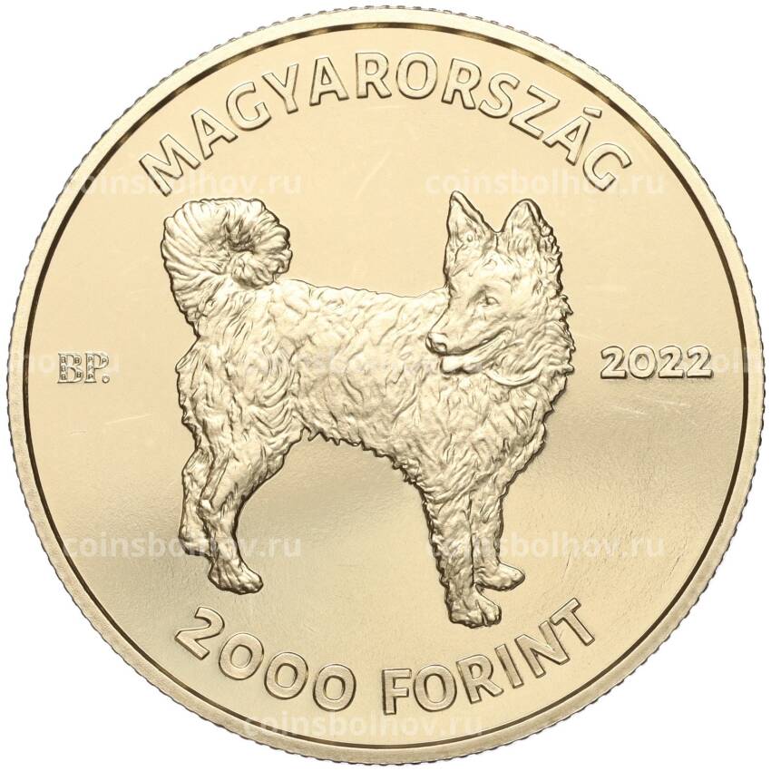Монета 2000 форинтов 2022 года Венгрия — Венгерская порода собак — Муди (вид 2)