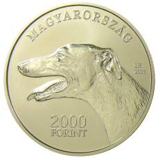 Монета 2000 форинтов 2021 года Венгрия — Венгерская борзая (реверс)