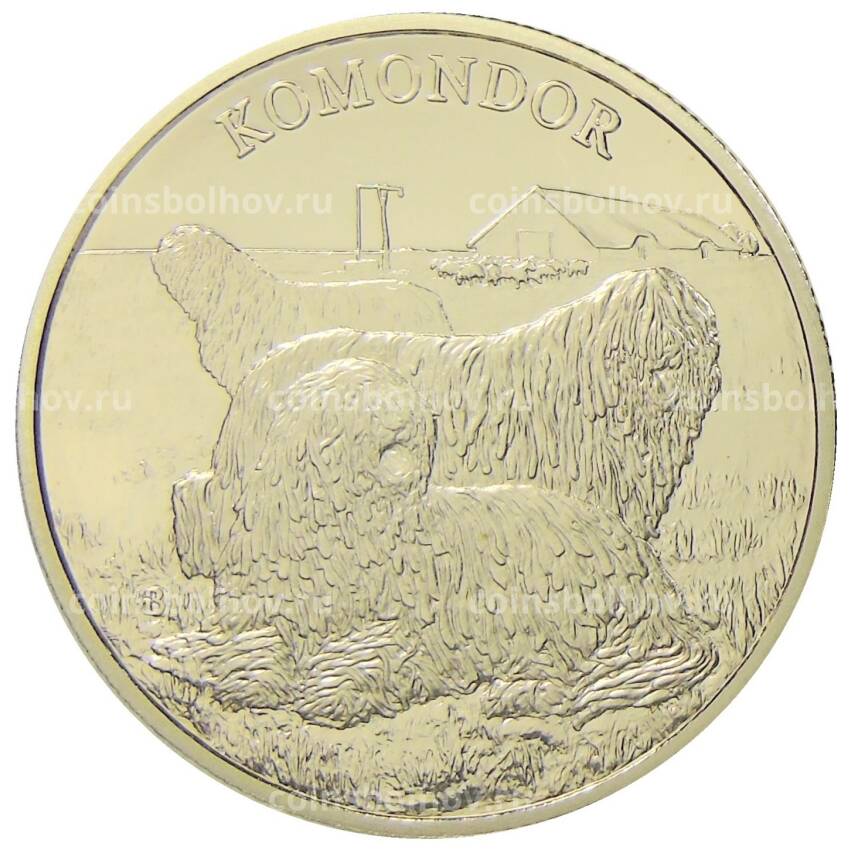 Монета 2000 форинтов 2020 года Венгрия — Венгерские овчарки и породы охотничьих собак — Комондор
