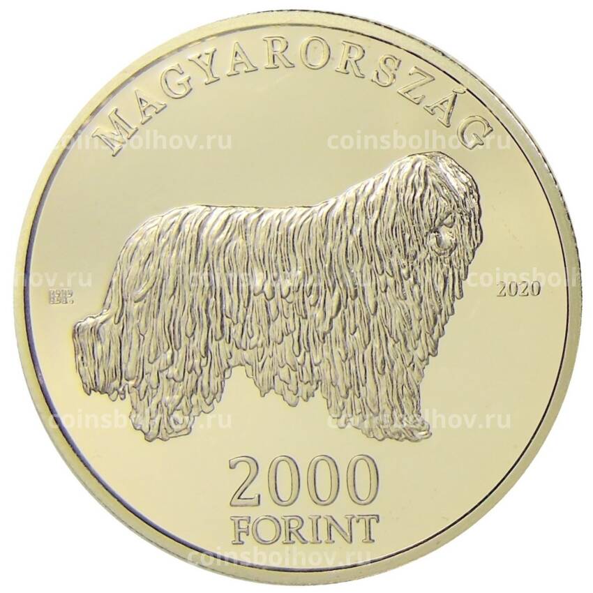 Монета 2000 форинтов 2020 года Венгрия — Венгерские овчарки и породы охотничьих собак — Комондор (вид 2)