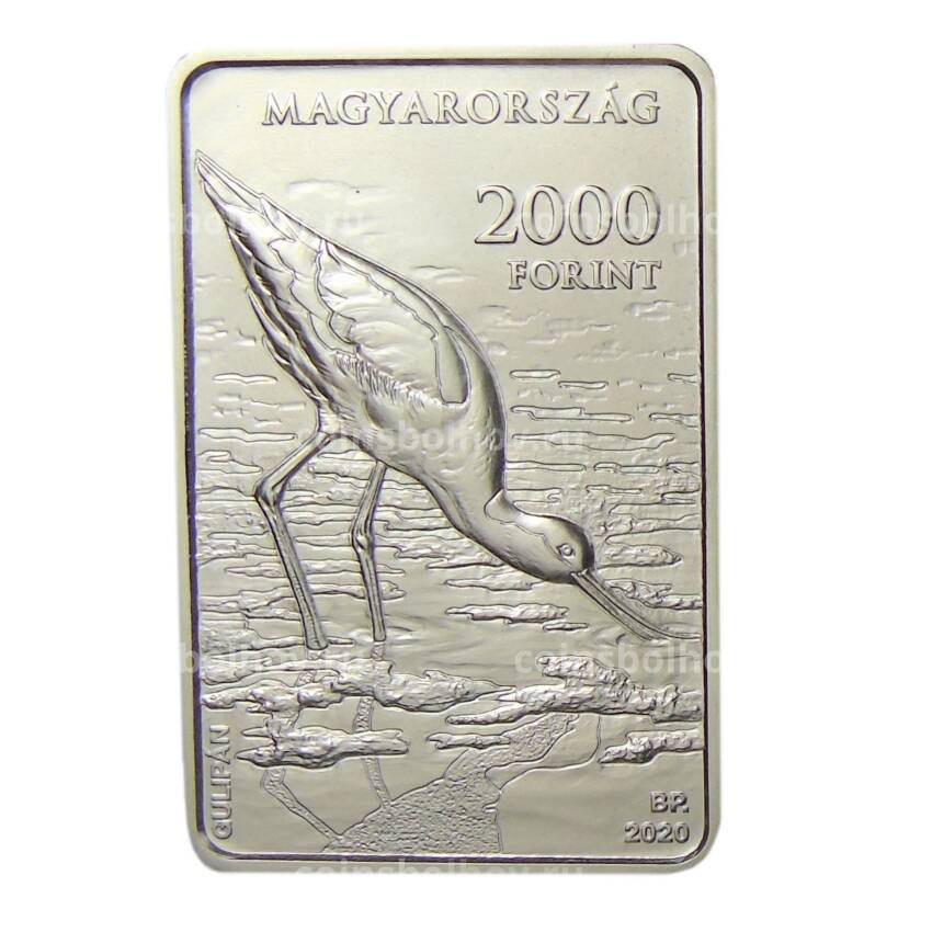 Монета 2000 форинтов 2020 года Венгрия — 45 лет Анциональному праку Кишкуншаг