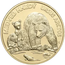 Монета 5 евро 2023 года Словакия «Бурый медведь» (аверс)