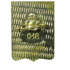 Значок Симферополь (вид 2)