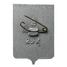 Значок Саратов (вид 2)