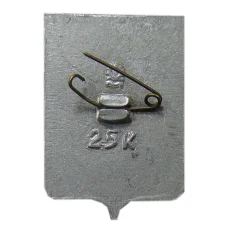 Значок Саратов (вид 2)