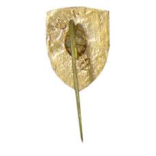 Значок Киев (вид 2)