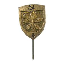 Значок Киев