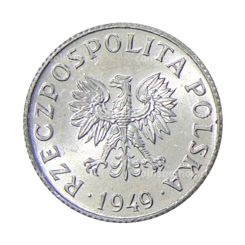 Монета 1 грош 1949 года Польша