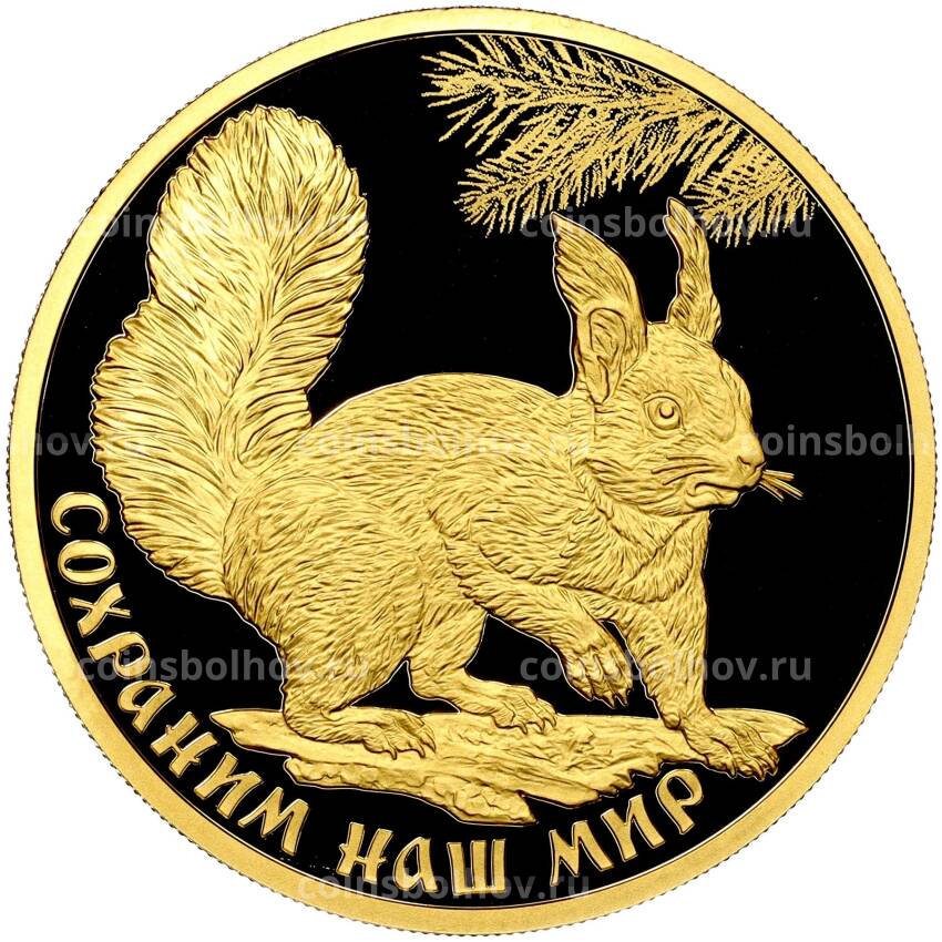 Монета 100 рублей 2023 года СПМД «Сохраним наш мир — Белка обыкновенная»
