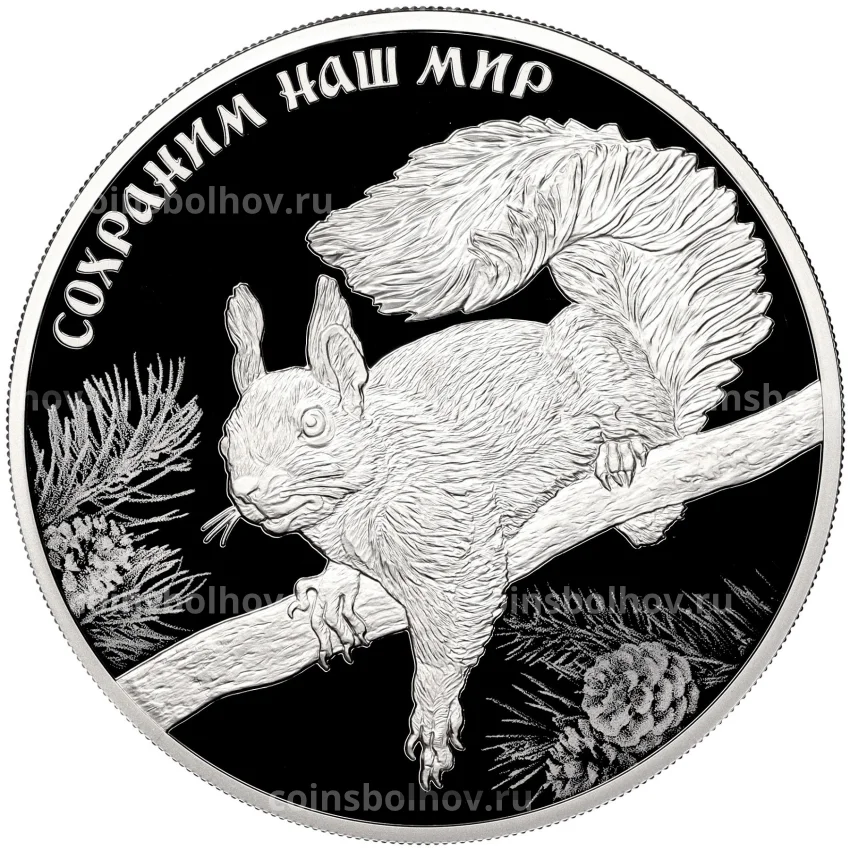 Монета 3 рубля 2023 года СПМД «Сохраним наш мир — Белка обыкновенная»3 рубля 2023 года СПМД «Сохраним наш мир — Белка обыкновенная»