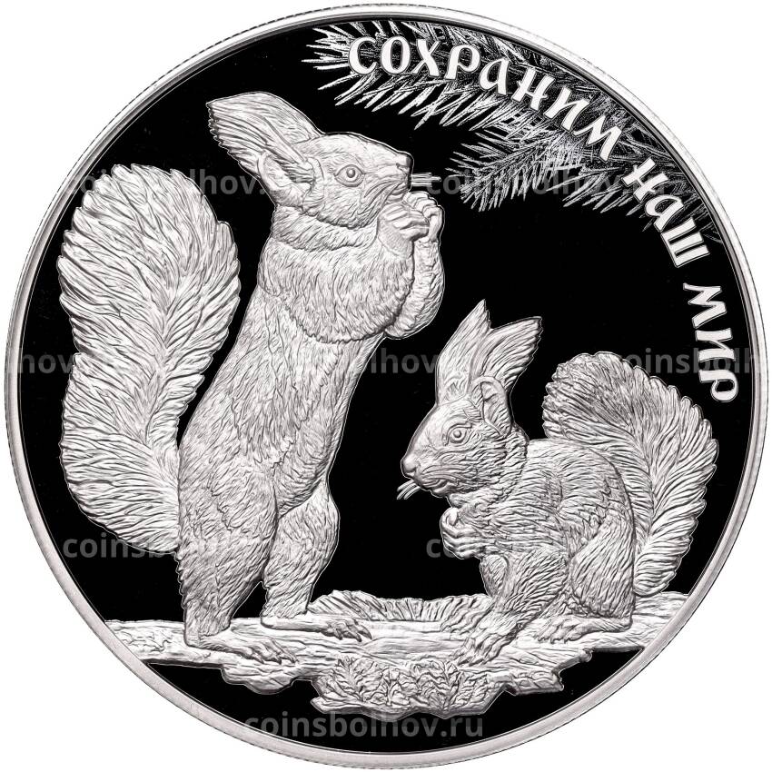 Монета 25 рублей 2023 года СПМД «Сохраним наш мир — Белка обыкновенная»