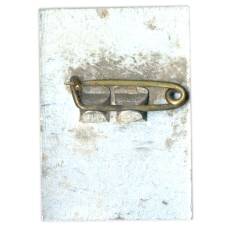 Значок Запорожье (вид 2)