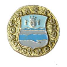 Значок Плес — Золотое кольцо