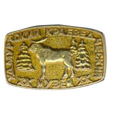 Значок Удмуртский краеведческий музей