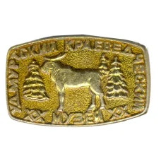 Значок Удмуртский краеведческий музей