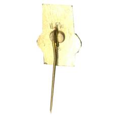 Значок Вильнюс (вид 2)