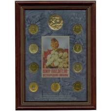 Набор из 9 монет «Города Воинской славы» 2013 года — Выпуск 3 (в рамке)