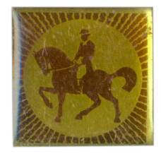 Значок Конный спорт