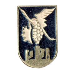 Значок Молдавия