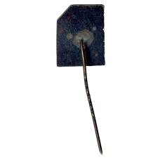 Значок Бухара (вид 2)