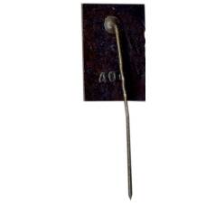 Значок Янис Райнис (вид 2)