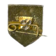 Значок Сосновка (вид 2)